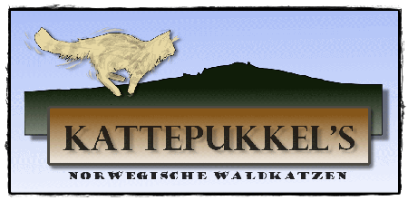 Banner Kattepukkel