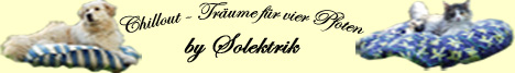 Banner der Firma Solektrik