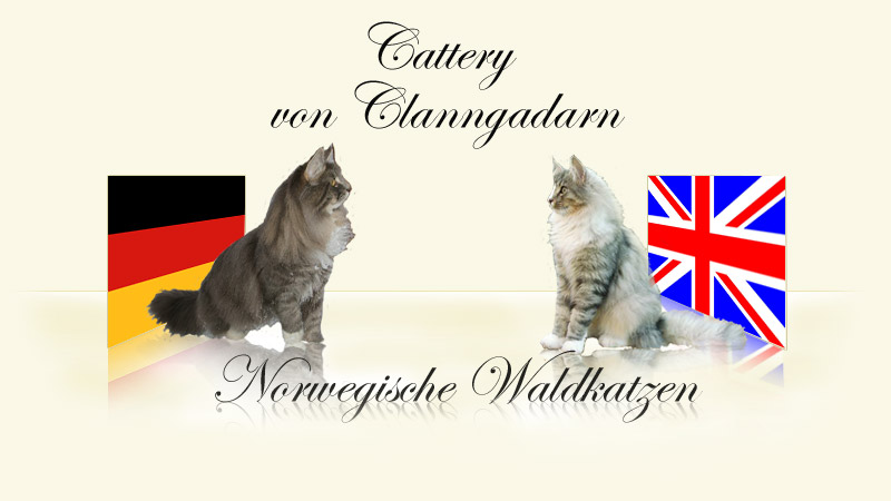 Eingangsfoto mit Ginger und Cnut für die deutsche und die englische Seite