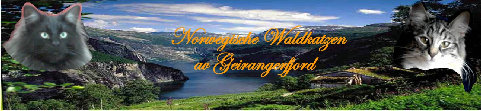 Banner Geirangerfjord