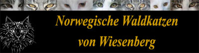 Banner wiesenberg